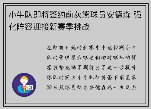 小牛队即将签约前灰熊球员安德森 强化阵容迎接新赛季挑战