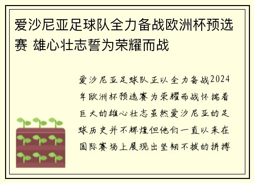 爱沙尼亚足球队全力备战欧洲杯预选赛 雄心壮志誓为荣耀而战